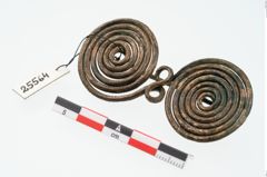 Foto von Bronzebrillenfibel (NHMW-PRAE-025564)